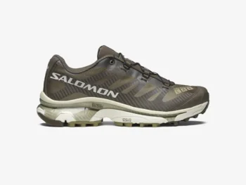 XT-4 OG Aurora Borealis