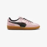 product_large – 2024-04-25T140109.943