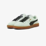 product_large – 2024-05-01T161303.395