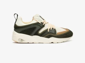 Blaze Of Glory x SNS