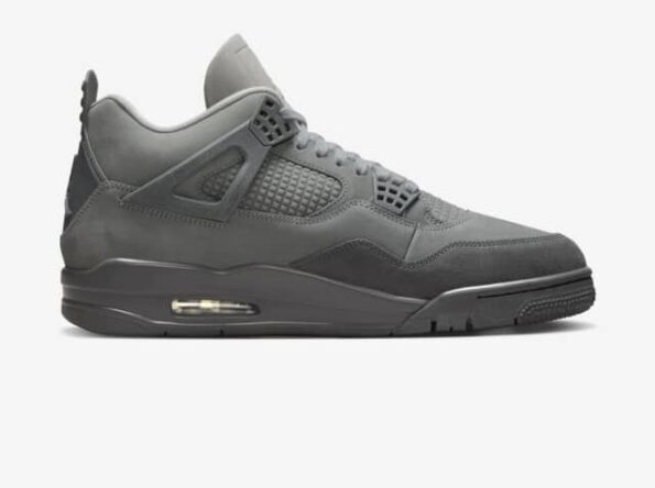 Air Jordan 4 SE